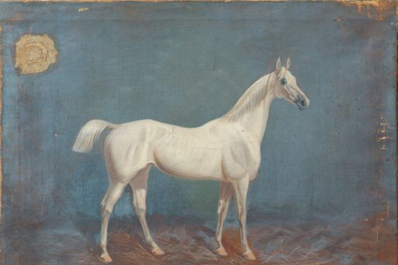 Hema A. Groy
