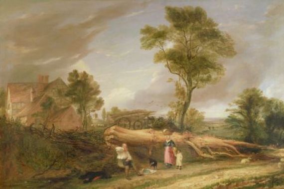 Hopkins Horsley Hobday Horsley