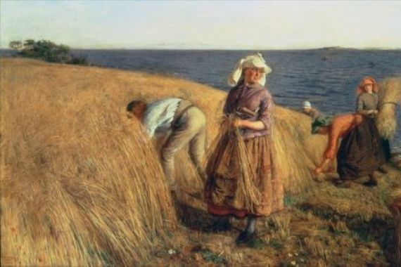 Hugh Cameron