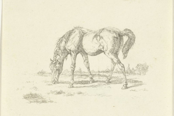 Jan Dasveldt