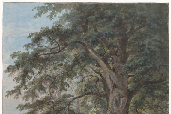 Jan David Geerling Grootveld