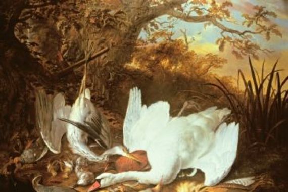 Jan de Wit