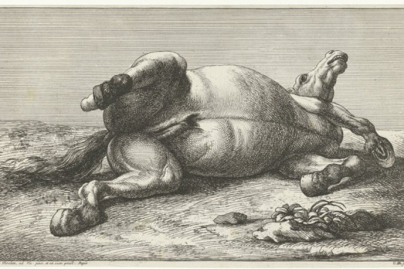 Jan van Huchtenburg