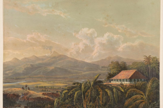 Johan Conrad Greive