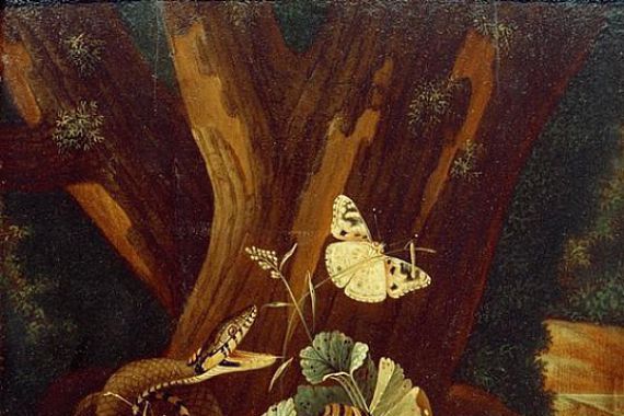 Johann Falch