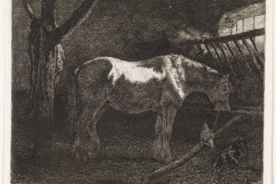 Johannes Martinus Vrolijk