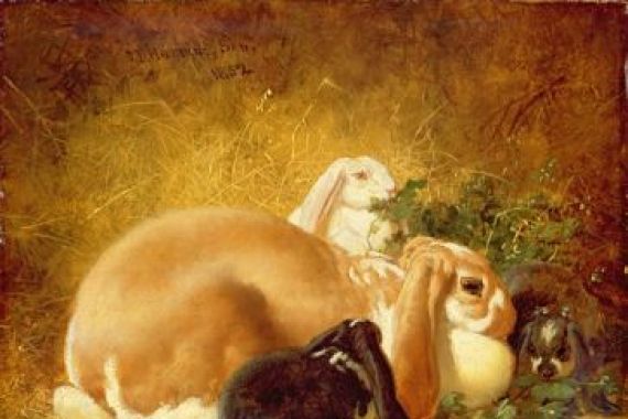 John Frederick Herring Jnr