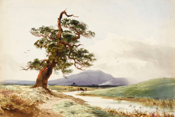 John Frederick William Herschel