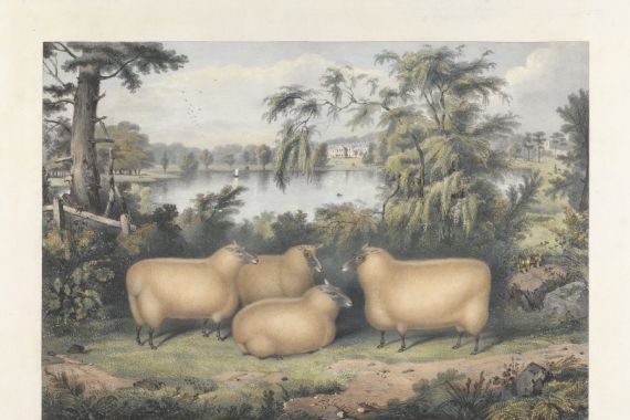 John West Giles