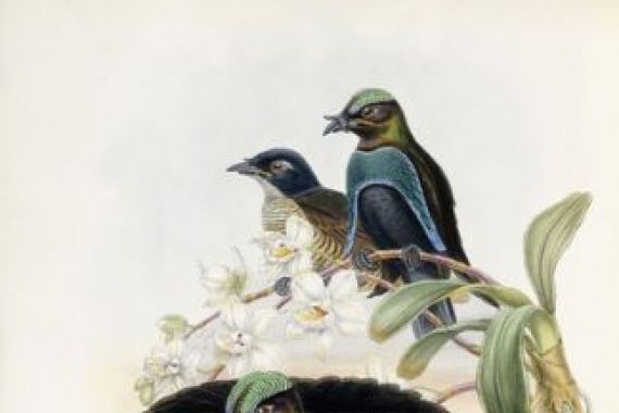 John and Hart, William Gould