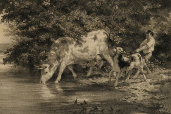 Louis Emmanuel Soulange Tessier
