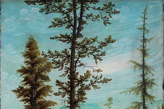 Lower Rhenish pupil of Wolf Huber