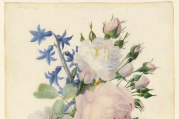 Madame de Ligny