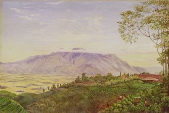 Marianne North