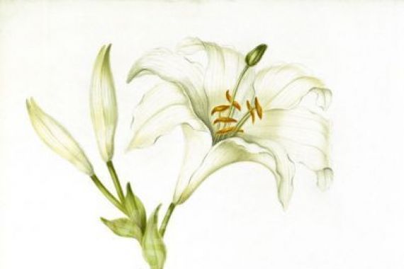 Martha Tuthill