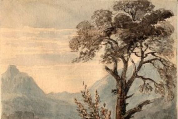 Mary Elizabeth Monck