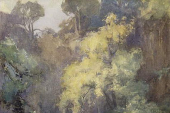 Mary Young Hunter