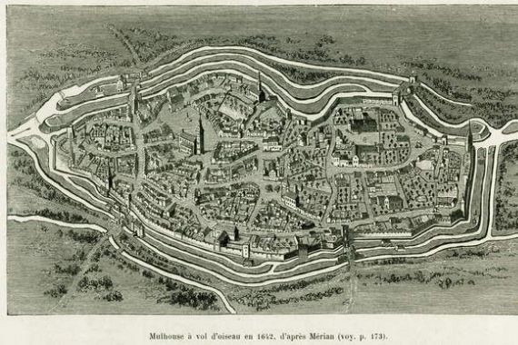 Matthaus the Elder (after) Merian