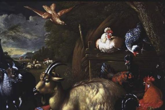 Melchior de (school of) Hondecoeter