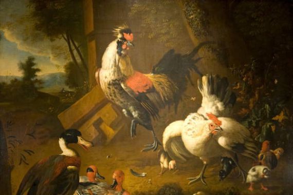 Melchior de (studio of) Hondecoeter