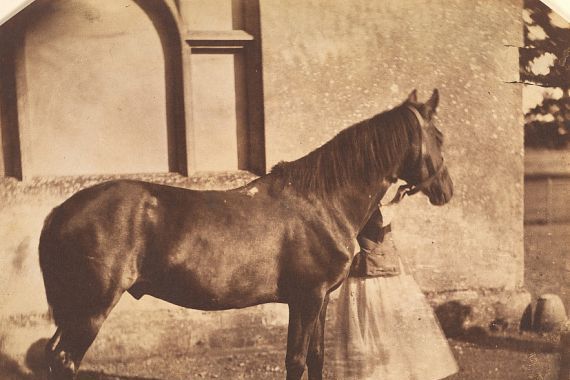 Mervyn Herbert Nevil Story Maskelyne