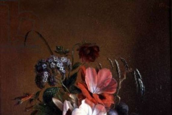 Mme. A. van Ravensway