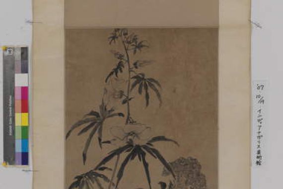 Naiqi Zhang