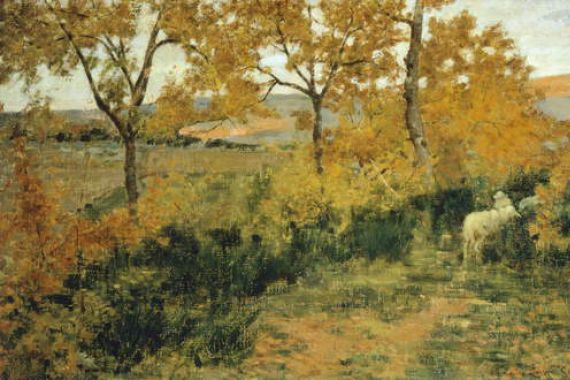Niccolo Cannicci