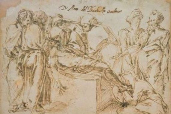 Niccolo Tribolo