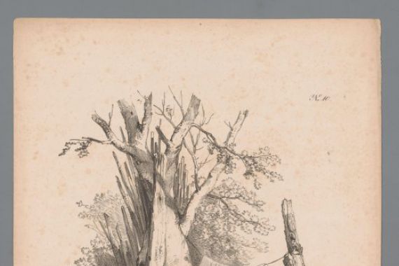 Paulus Lauters (attributed to)