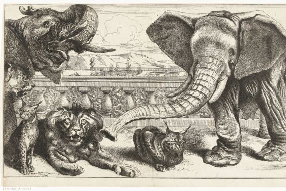 Peeter Boel (attributed to)