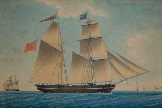 Pelligure Pelligure