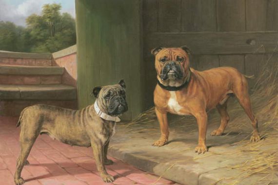 Percy Thomas Earl