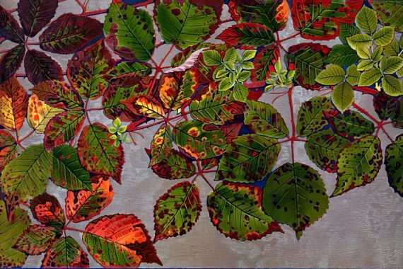 Philippe Robert
