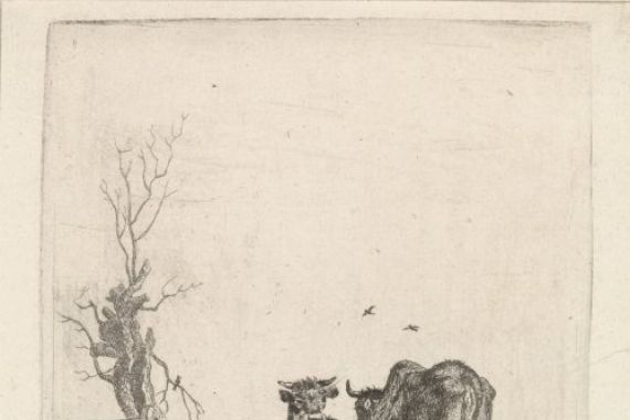 Pieter Janson