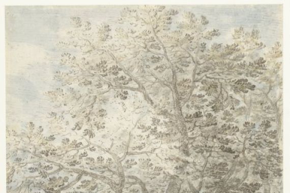 Pieter Stevens (I)