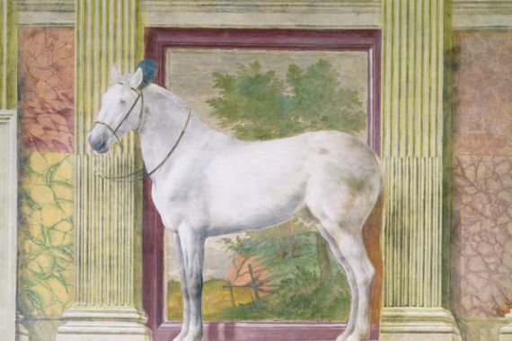 Romano Giulio