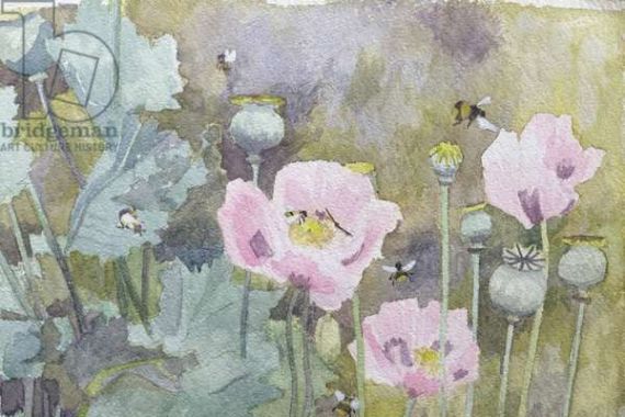 Rosalie Bullock