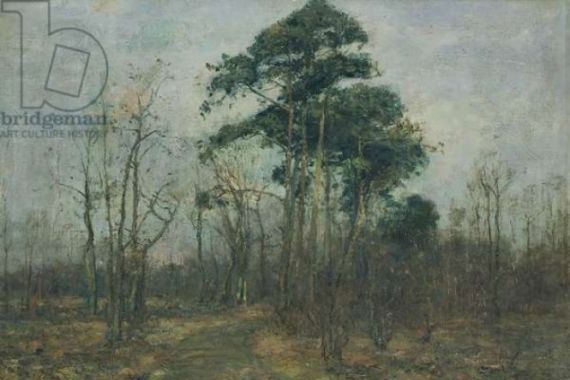 Rudolf Hockner
