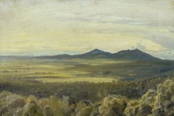 Rudolph Friedrich Wasmann