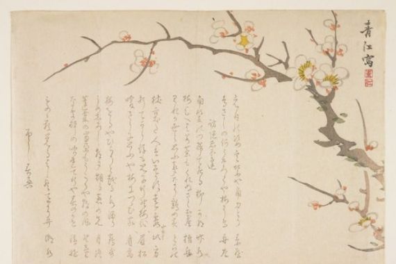 Seik Hashimoto