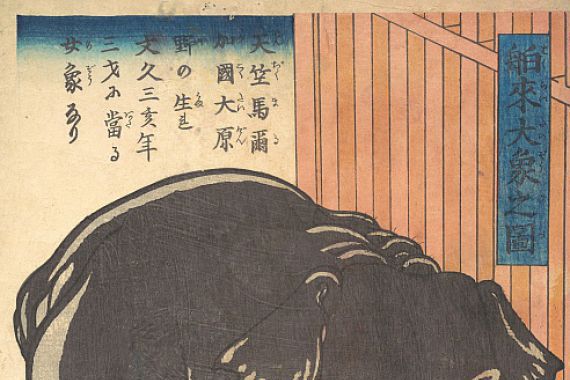 Taguchi Yoshimori