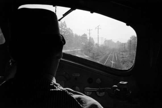 Ted Spiegel