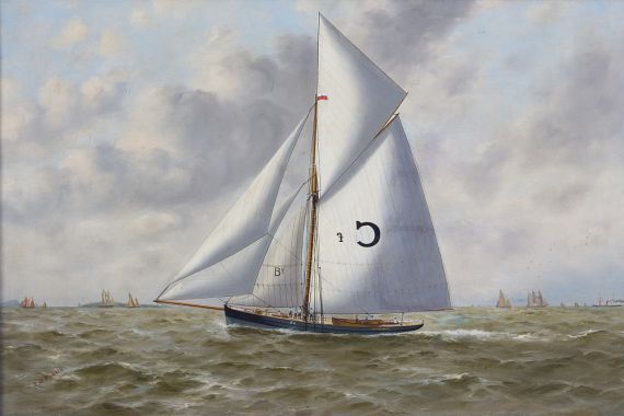 Thomas G Purvis