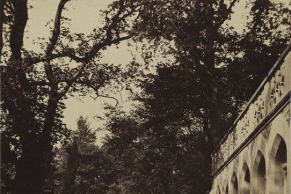 W. Graham Vivian