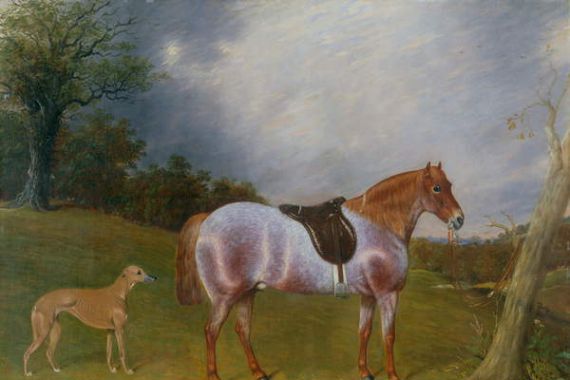 W.J. Gilbert