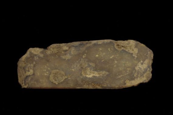 Western Zhou Dynasty Chinese School