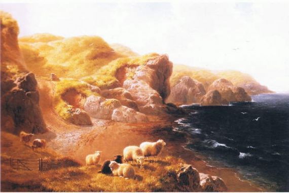 William Davies
