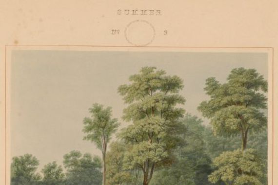 William James Bennett after George Harvey