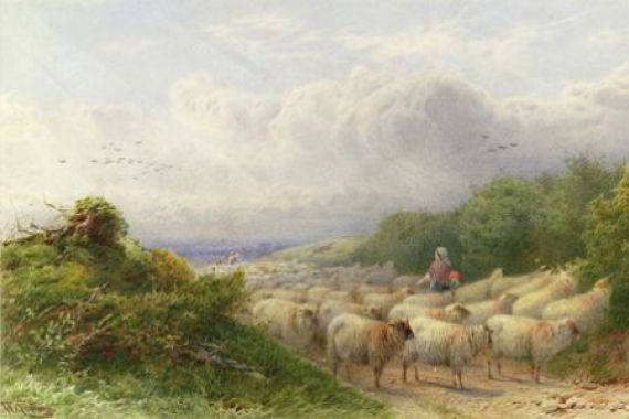 William W. Gosling